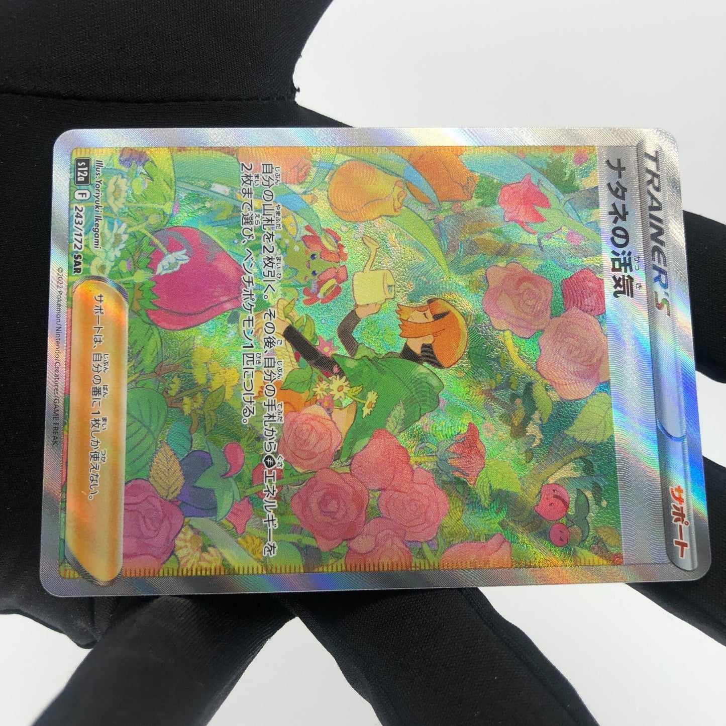 Pokemon Card  Gardenia's Vigor 243/172  SAR s12a Japanese Karte [Mint]