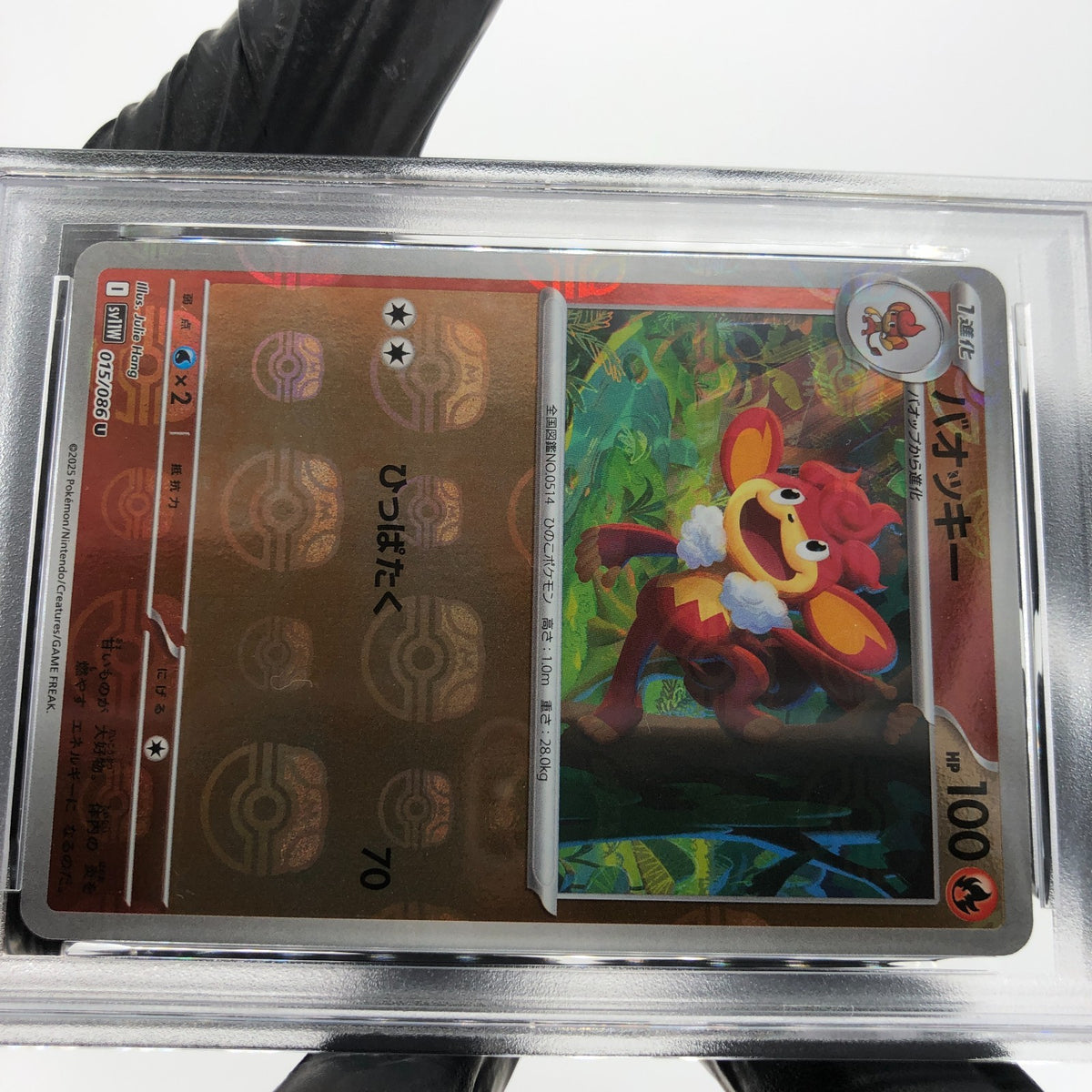 PSA 9 Pokemon Card Simisear 015/086 U Masterball SV11W Japanese Karte [9]