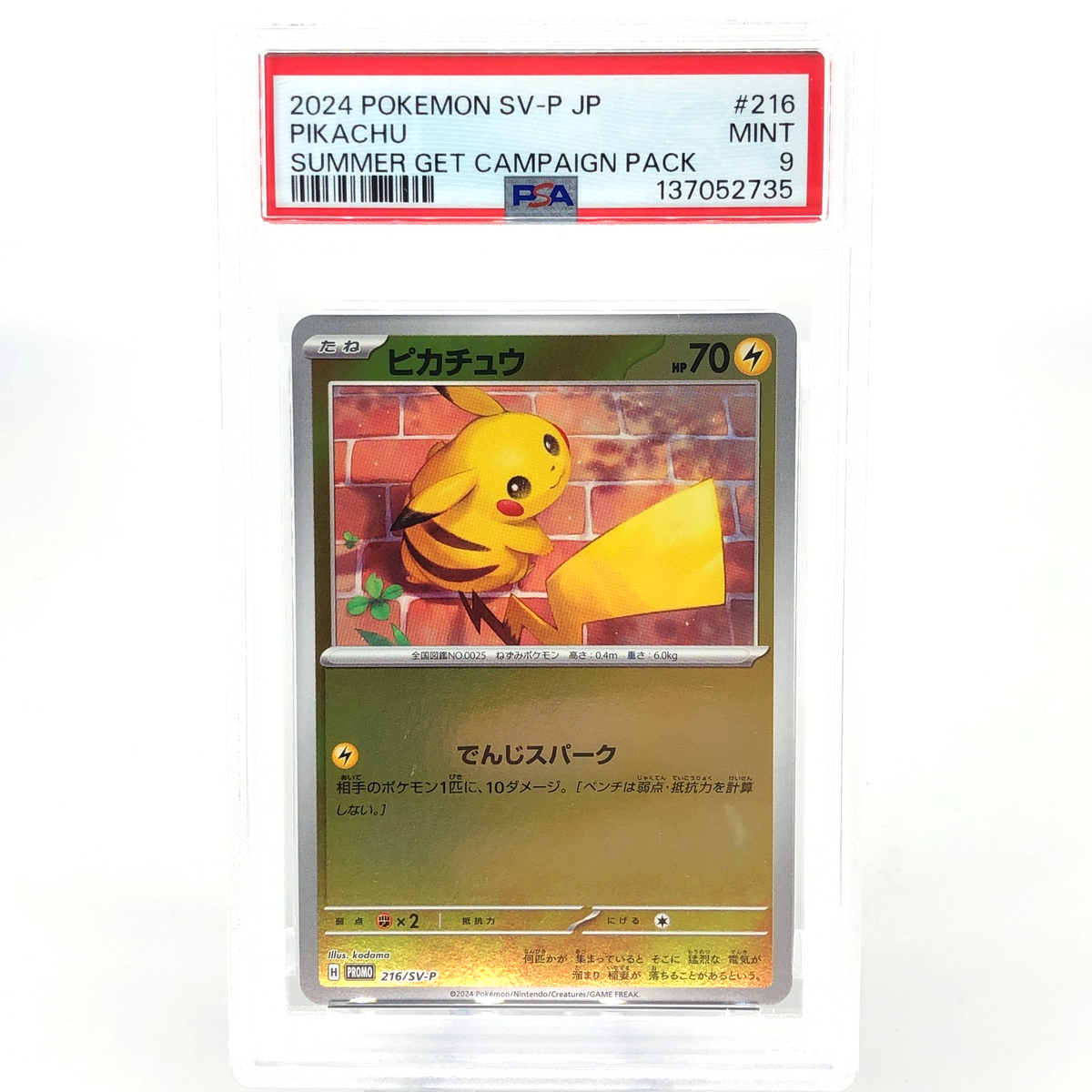 PSA 9 Pokemon Card Pikachu 216/SV-P Summer Promo Japanese Karte [9]