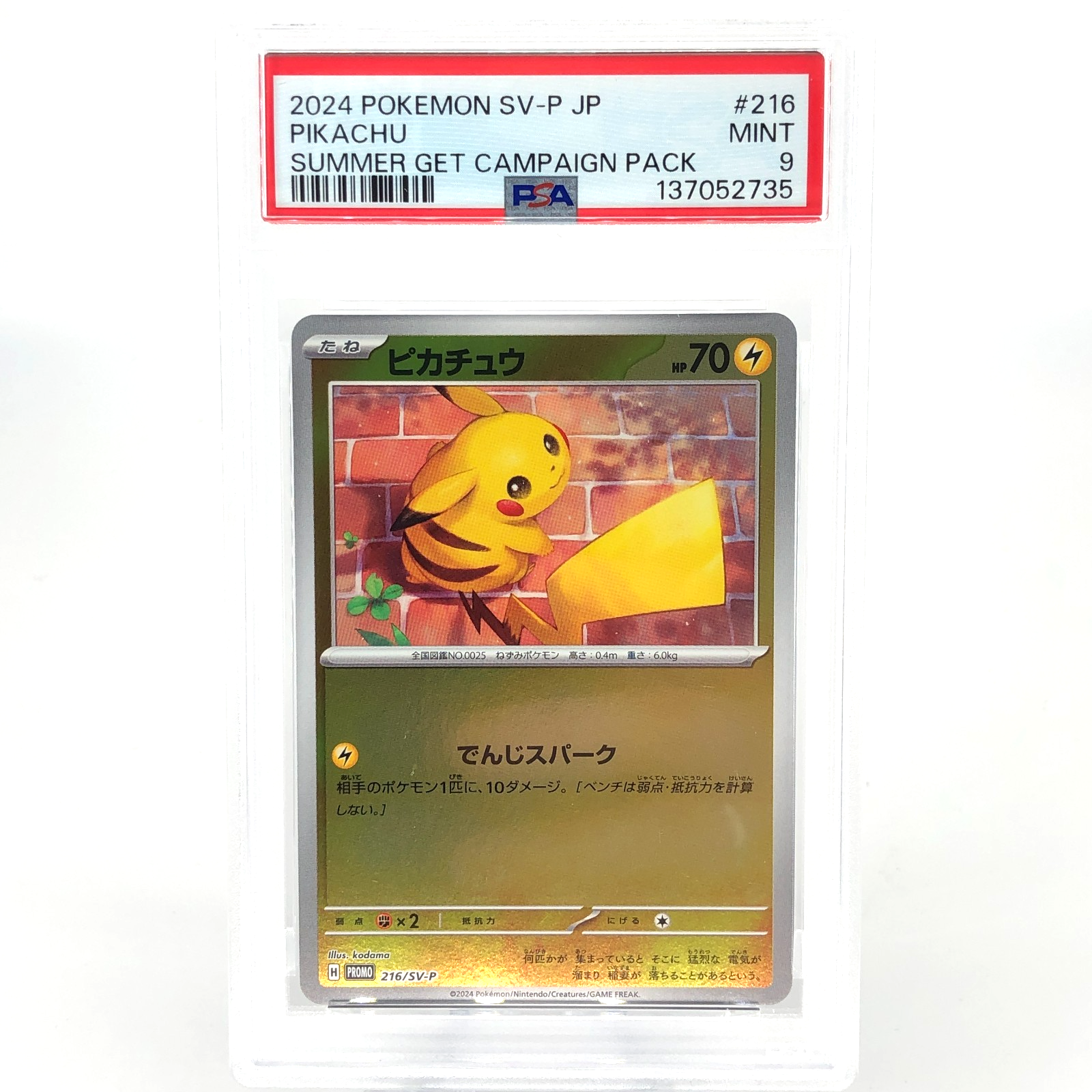 PSA 9 Pokemon Card Pikachu 216/SV-P Summer Promo Japanese Karte [9]