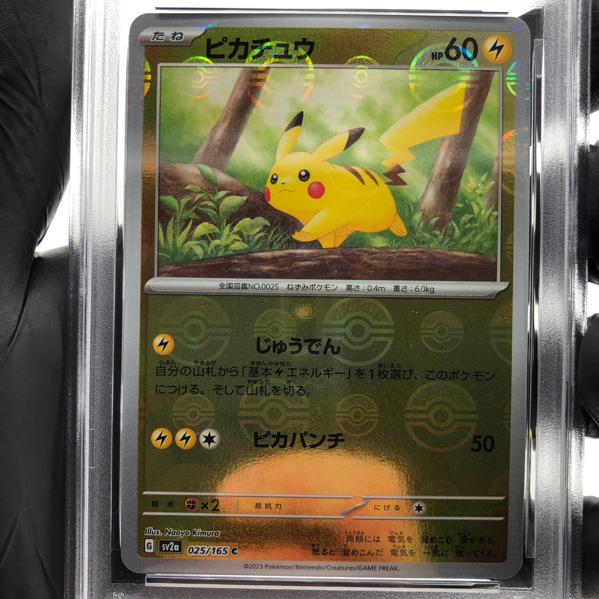 PSA 9 Pokemon Card Pikachu 025/165 C Pokeball SV2a Japanese Karte [9] 5
