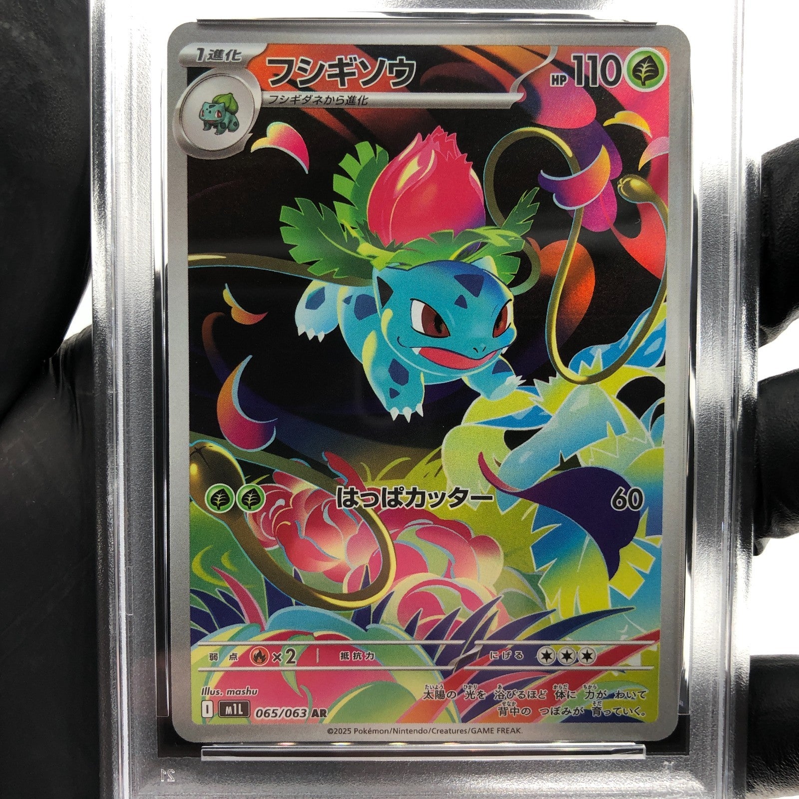 PSA 8 Pokemon Card Ivysaur 065/063 AR M1L Japanese Karte [8]