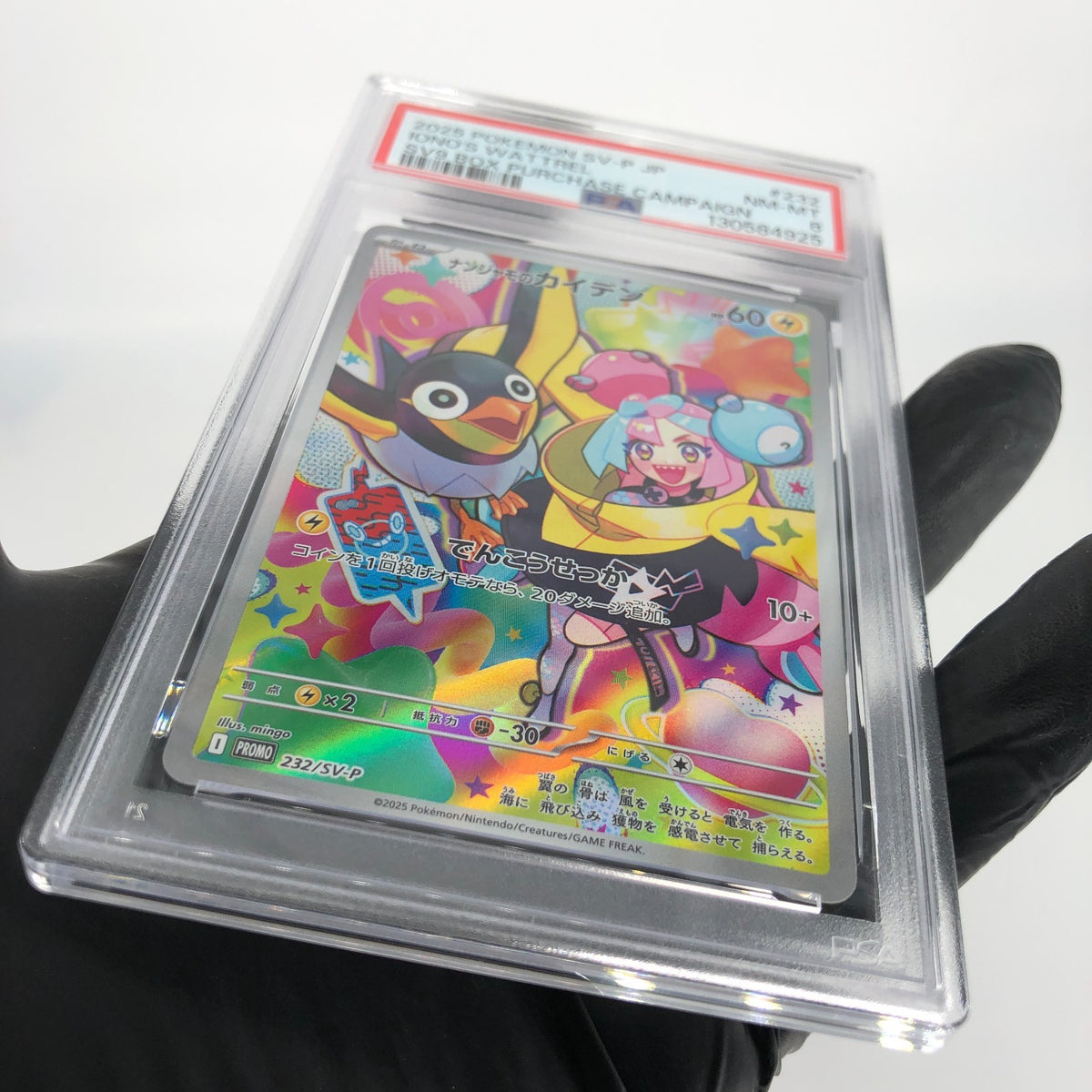 PSA 8 Pokemon Card Ionos Wattrel 232/SV-P  Promo Japanese Karte [8]