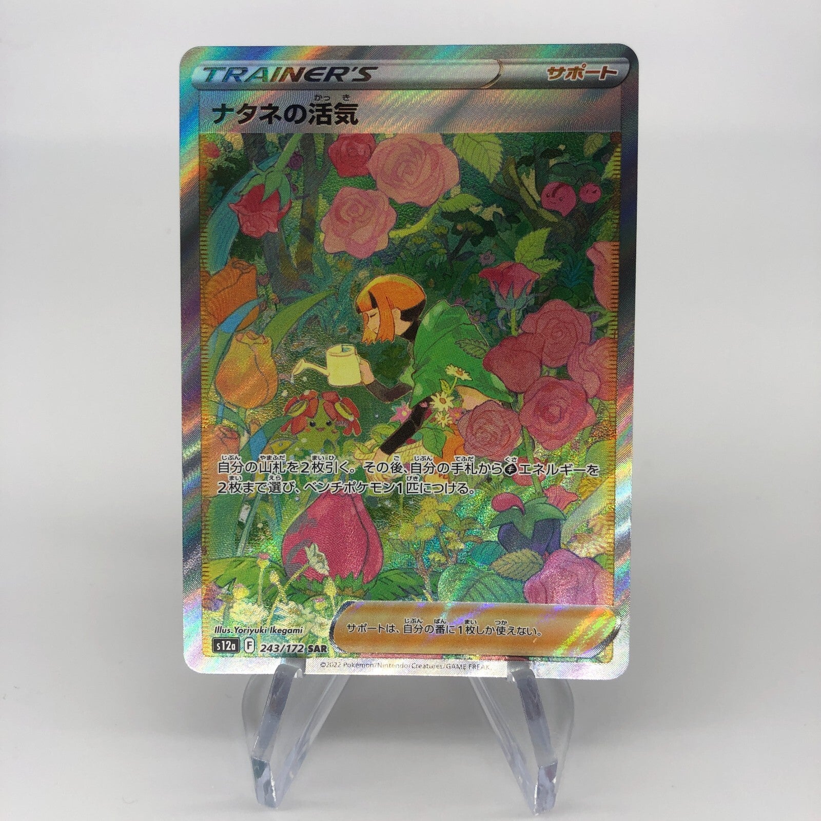 Pokemon Card  Gardenia's Vigor 243/172  SAR s12a Japanese Karte [Mint]