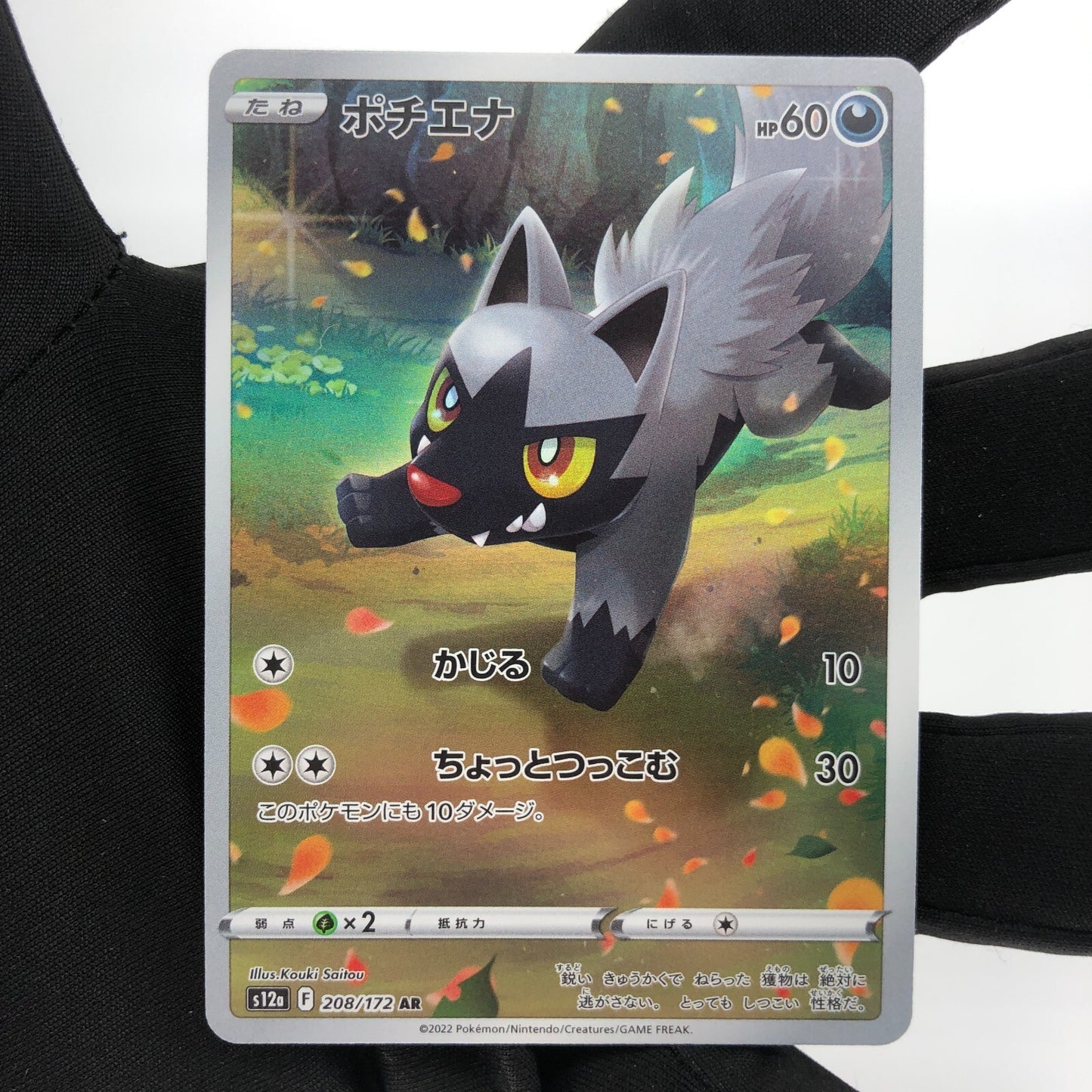 Pokemon Card Poochyena 208/172 AR s12a Full Art Foil Japanese Karte [Mint]
