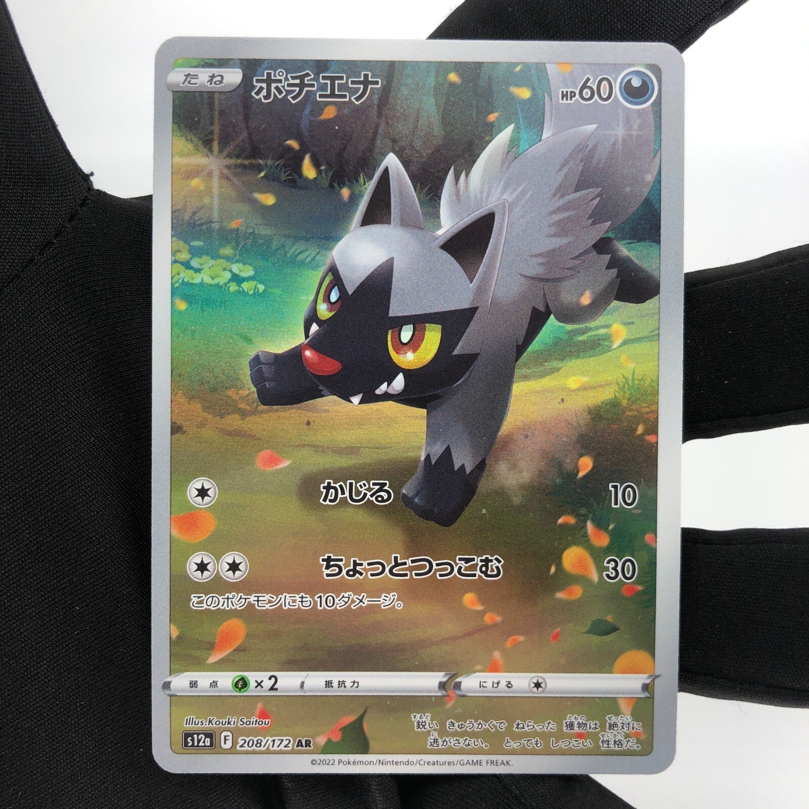 Pokemon Card Poochyena 208/172 AR s12a Full Art Foil Japanese Karte [Mint]