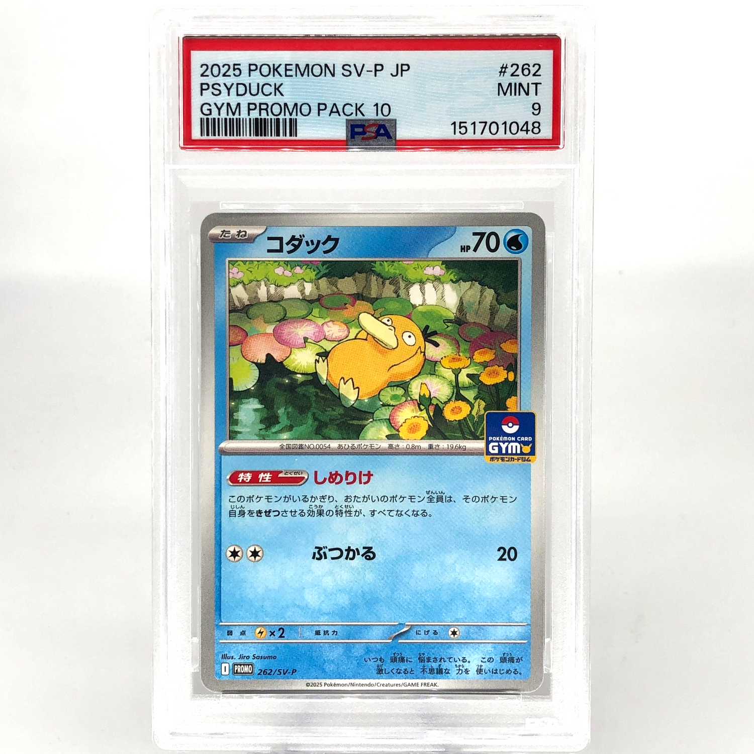 PSA 9 Pokemon Card Psyduck 262/SV-P Gym Promo 2025 Japanese Karte [9]