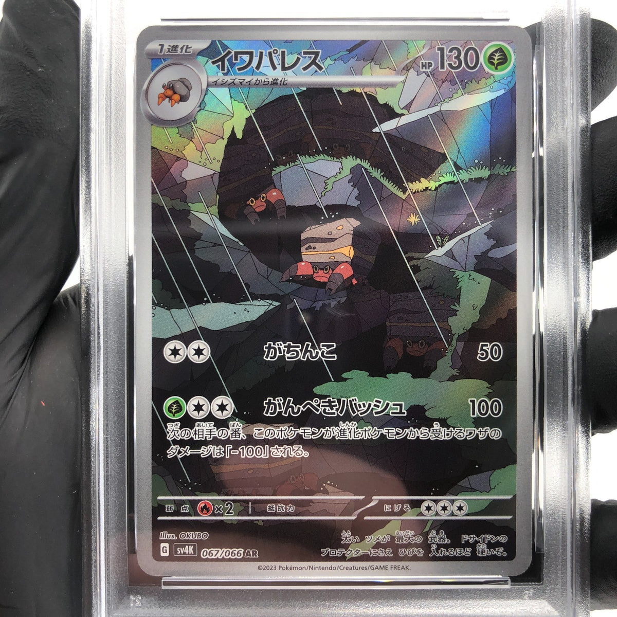 PSA 8 Pokemon Card Crustle Ex 067/066 AR SV4k Japanese Karte [8]