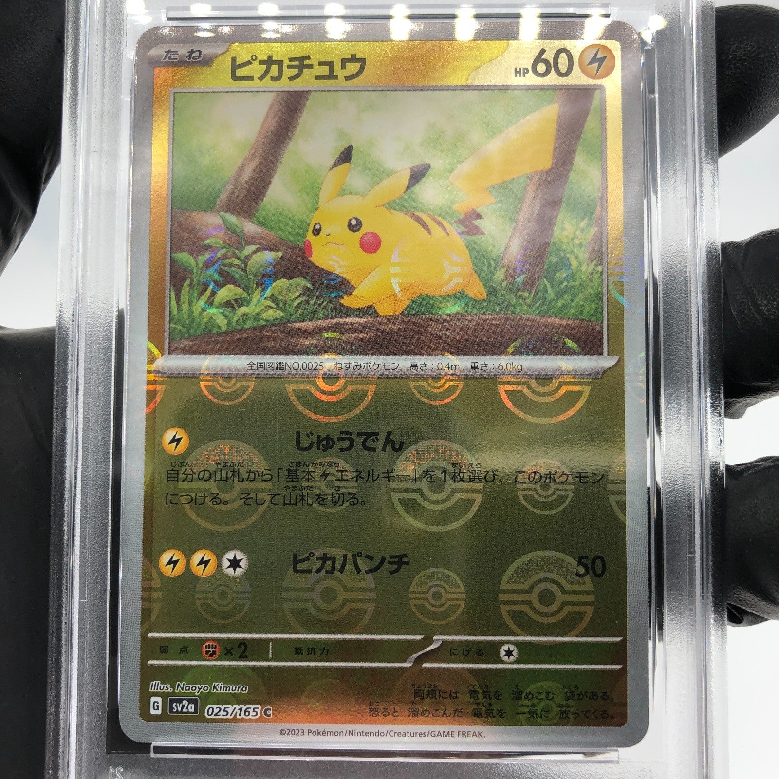 PSA 9 Pokemon Card Pikachu 025/165 C Pokeball SV2a Japanese Karte [9]
