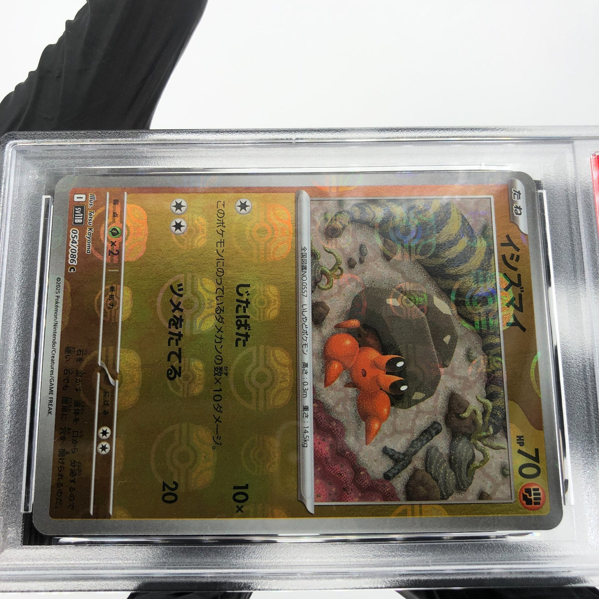 PSA 9 Pokemon Card Dwebble 054/086 C Masterball SV11B Japanese Karte [9]