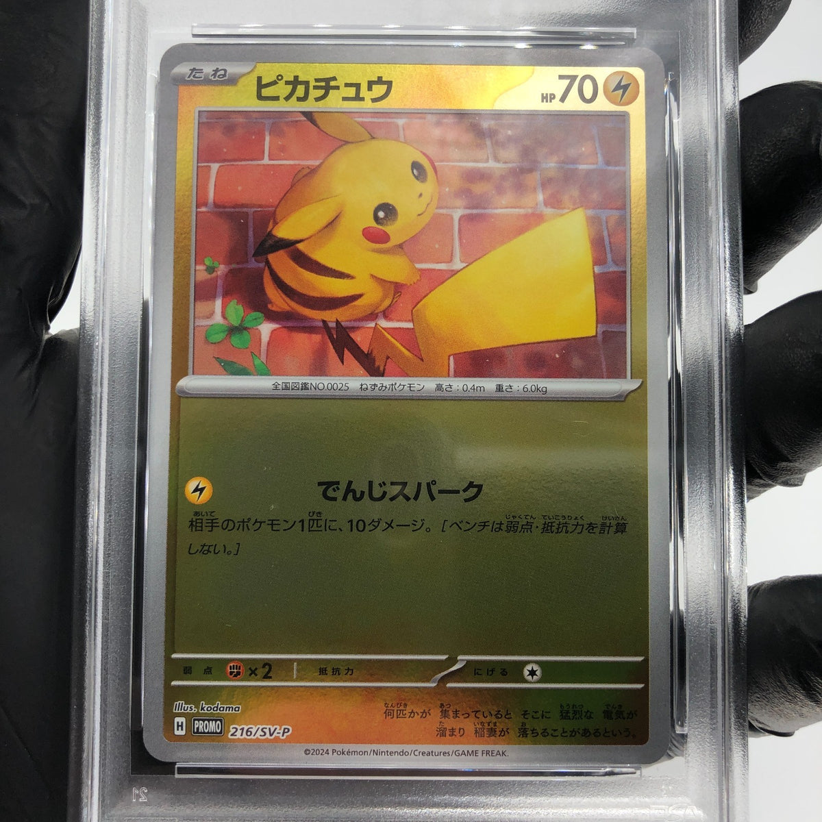 PSA 9 Pokemon Card Pikachu 216/SV-P Summer Promo Japanese Karte [9]