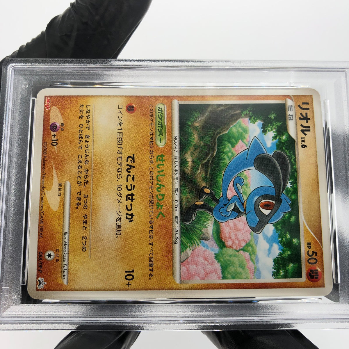 PSA 8 Pokemon Card Riolu 088/DP-P Meiji Promo Japanese Karte [8]