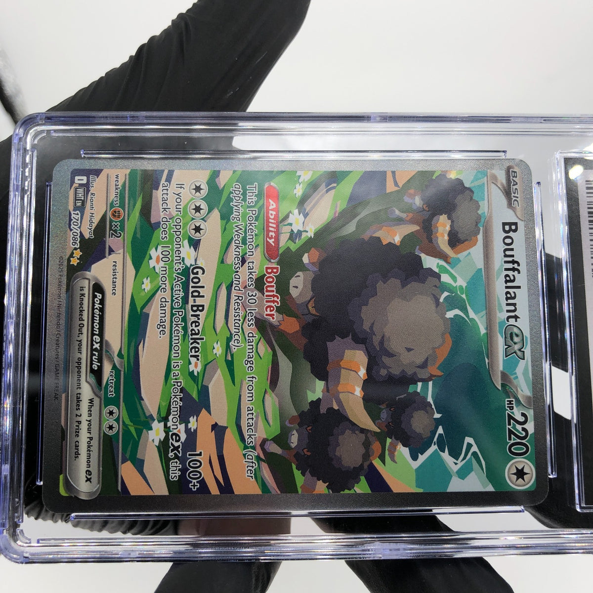 CGC 9 Pokemon Card Bouffalant Ex 170/086 White Flare English Karte [9]