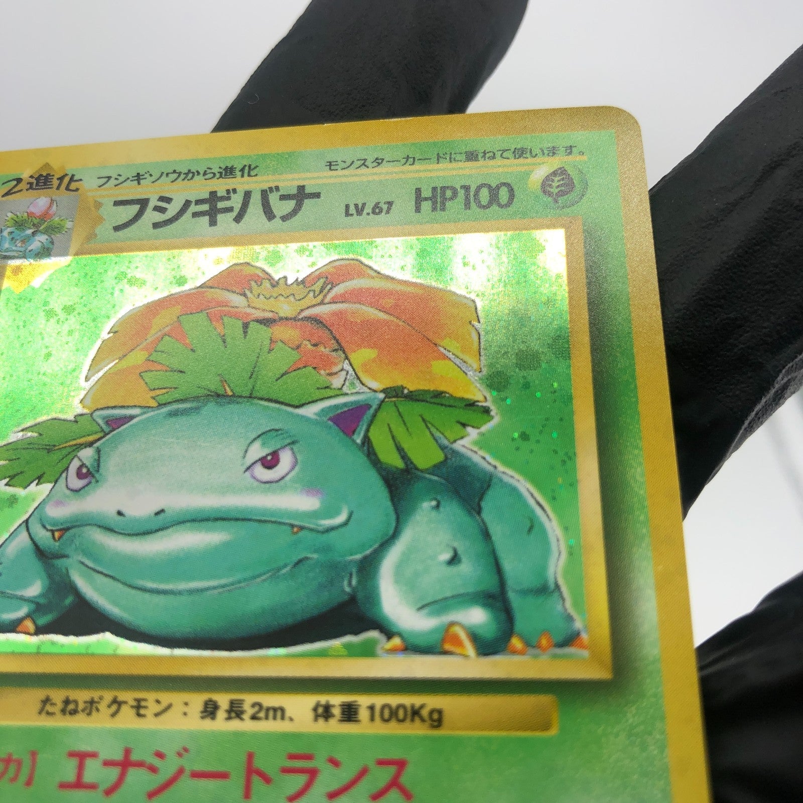 Pokemon Card Venusaur No.003 Base 1996 Holo japanese Karte [Exc.]