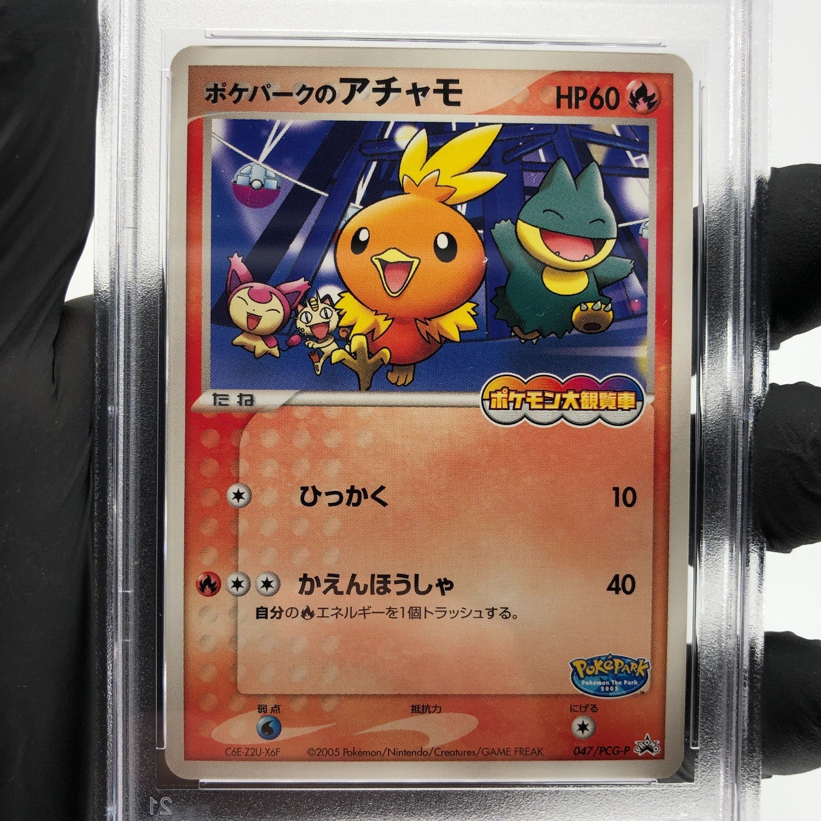 PSA 8 Pokemon Card Torchic 047/PCG-P Pokepark Promo 2005 Japanese Karte [8]