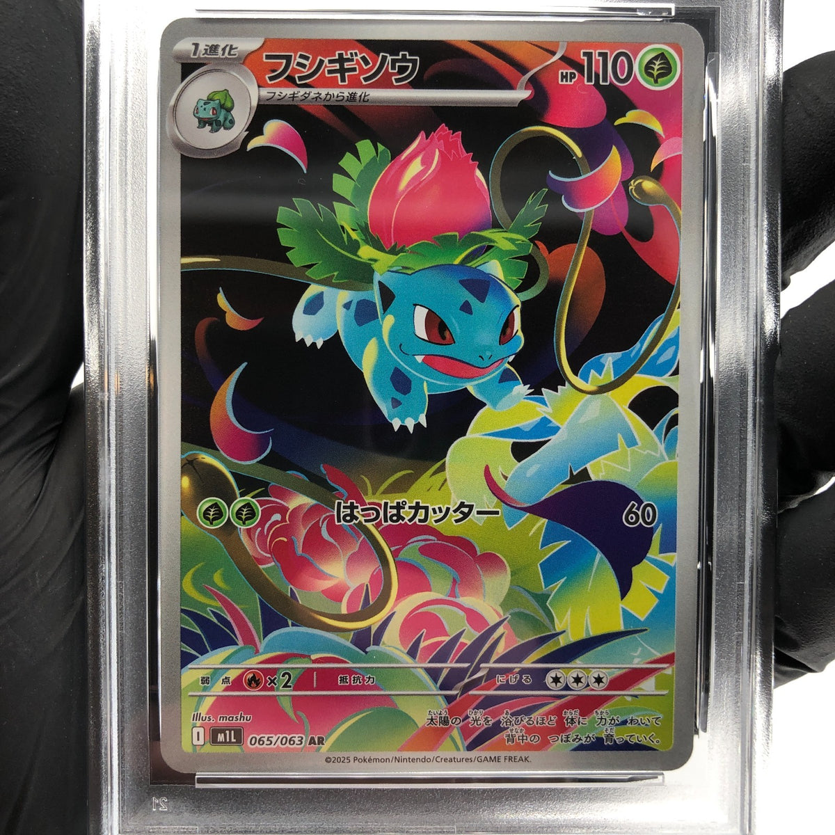 PSA 9 Pokemon Card Ivysaur 065/063 AR M1L Japanese Karte [9] 2