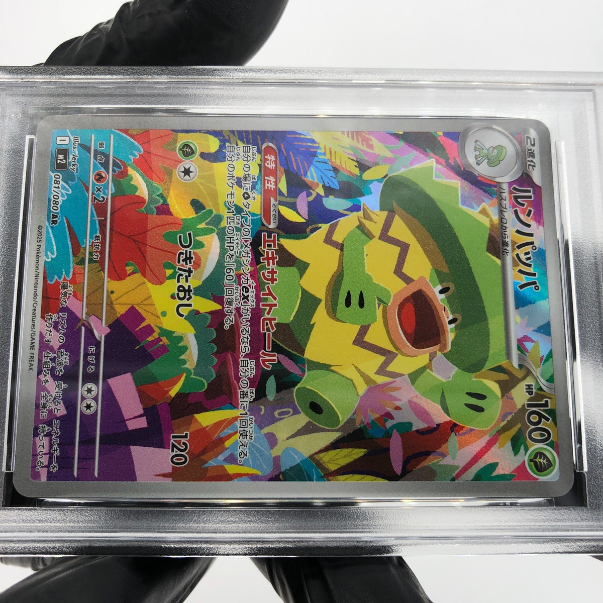 PSA 9 Pokemon Card Ludicolo 081/080 AR M2 Japanese Karte [9] 2