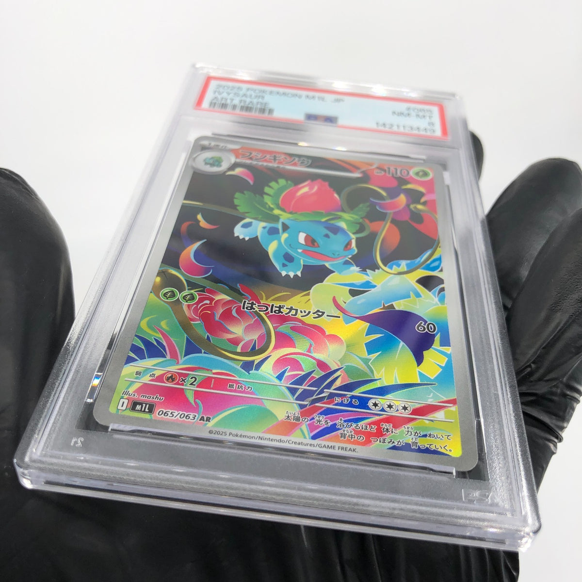 PSA 8 Pokemon Card Ivysaur 065/063 AR M1L Japanese Karte [8]