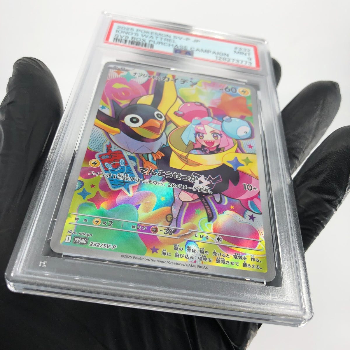 PSA 9 Pokemon Card Ionos Wattrel 232/SV-P  Promo Japanese Karte [9]