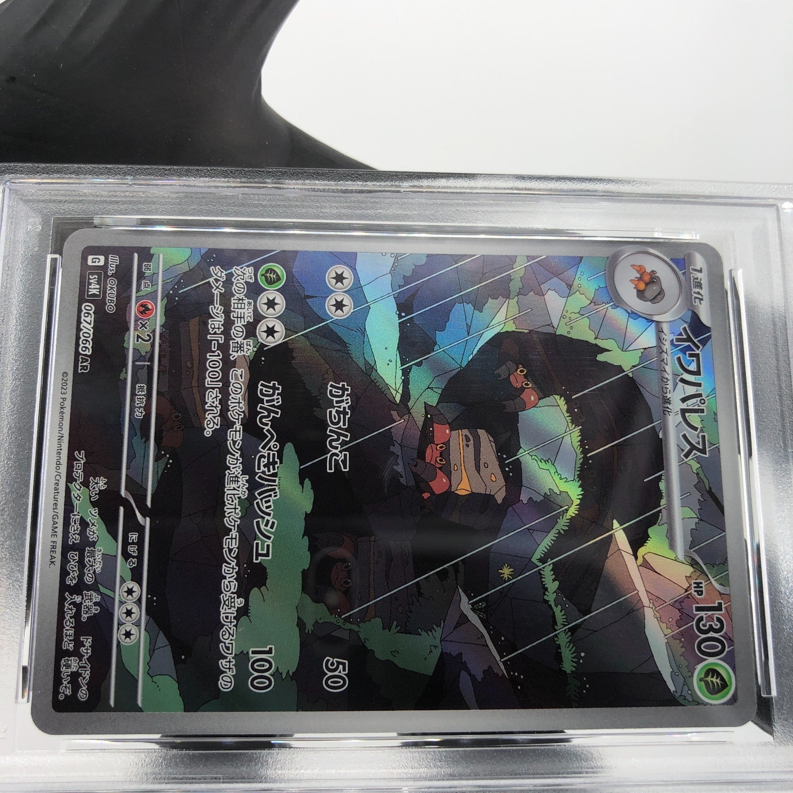 PSA 8 Pokemon Card Crustle Ex 067/066 AR SV4k Japanese Karte [8]