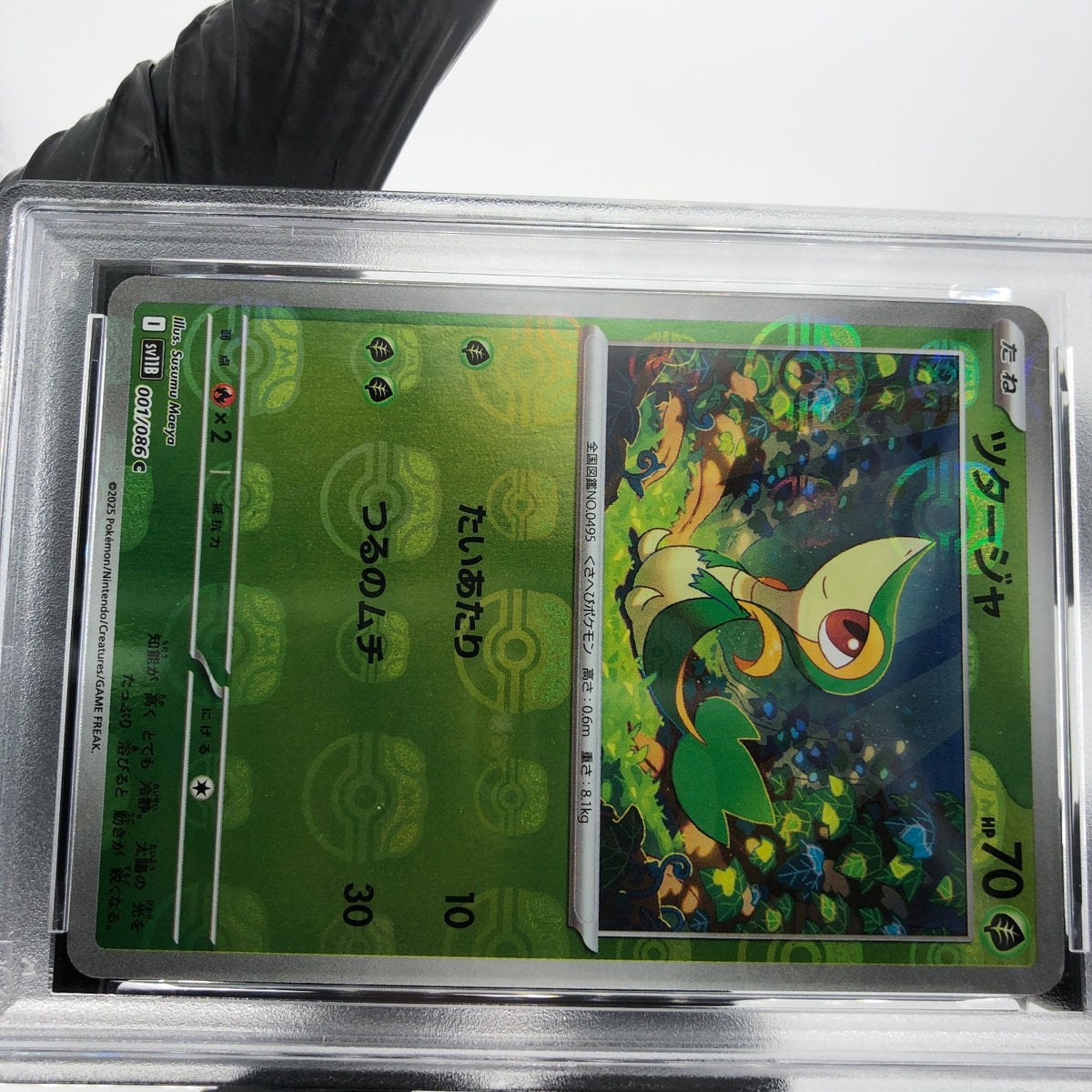 PSA 9 Pokemon Card Snivy 001/086 C Masterball SV11B Japanese Karte [9]