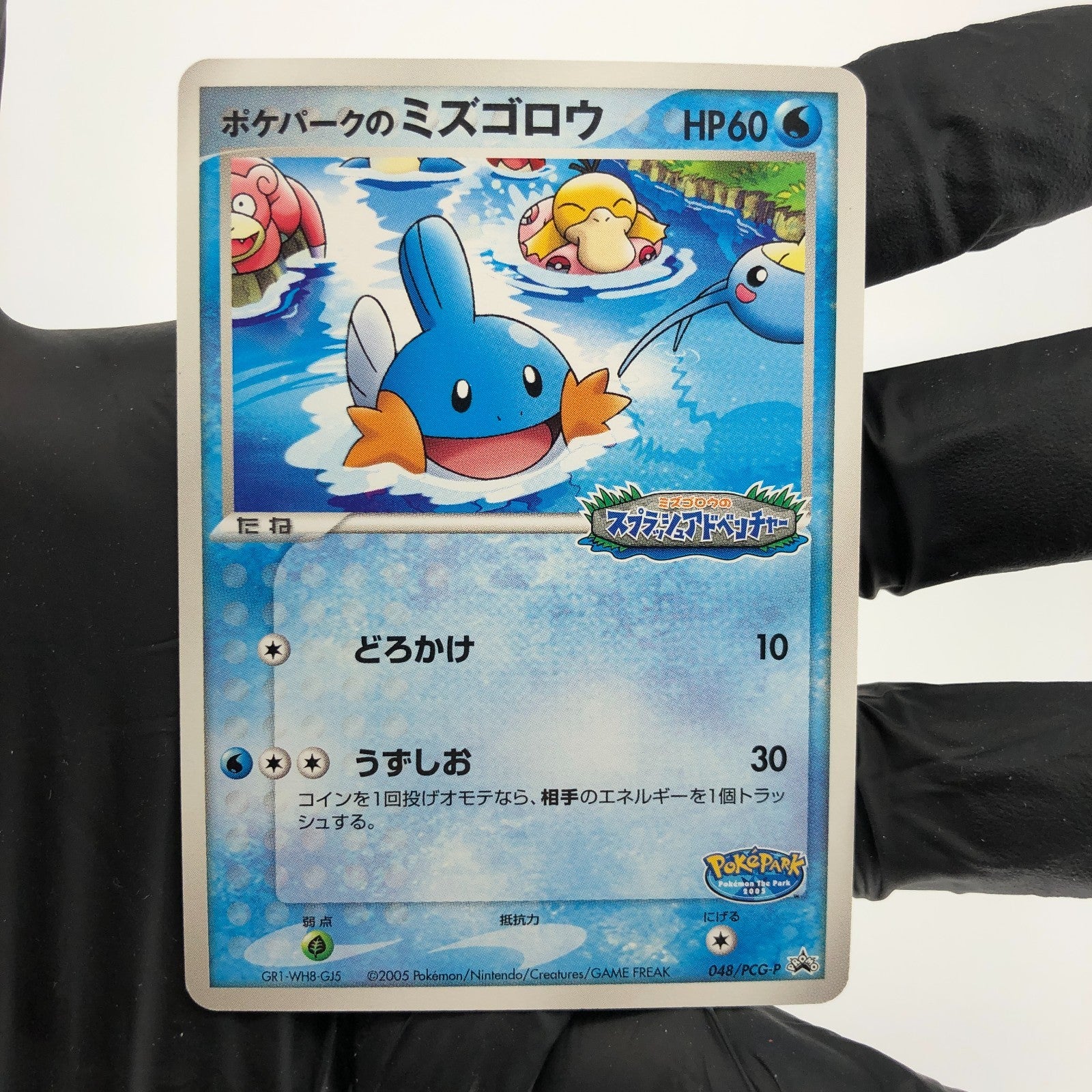 Pokemon Card Mudkip 048/PCG-P Pokepark Promo 2005 Japanese Karte [NM]