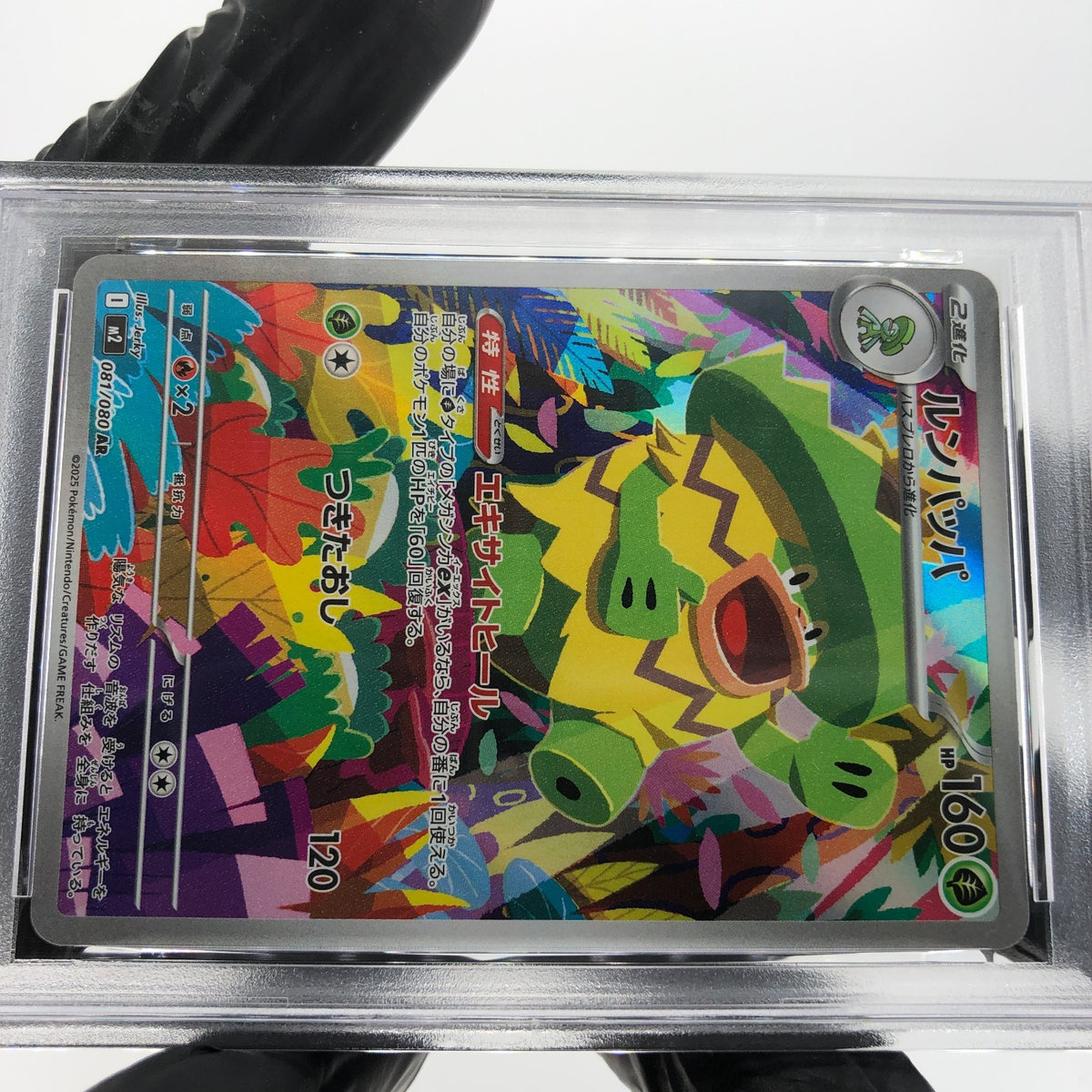 PSA 8 Pokemon Card Ludicolo 081/080 AR M2 Japanese Karte [8]
