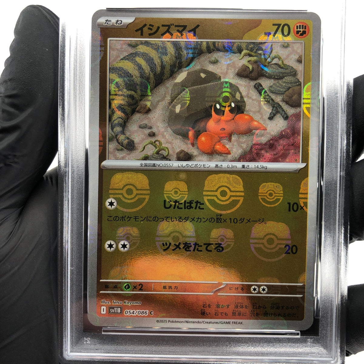 PSA 9 Pokemon Card Dwebble 054/086 C Masterball SV11B Japanese Karte [9]