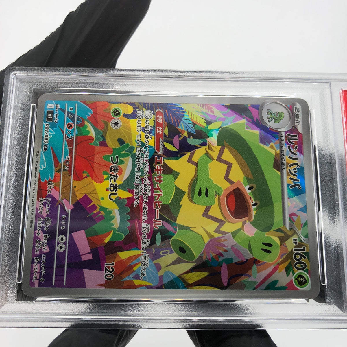 PSA 9 Pokemon Card Ludicolo 081/080 AR M2 Japanese Karte [9] 5