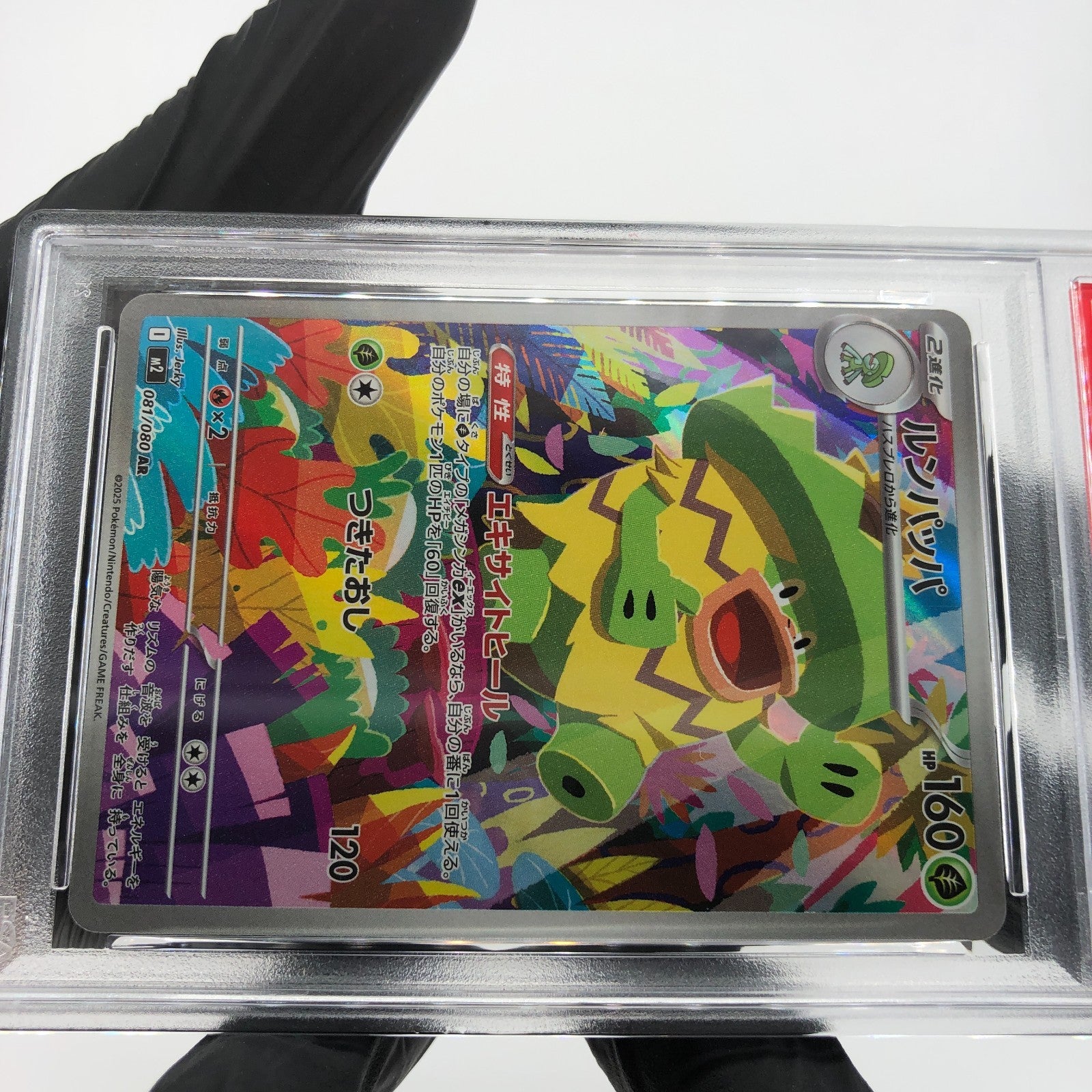 PSA 9 Pokemon Card Ludicolo 081/080 AR M2 Japanese Karte [9] 5