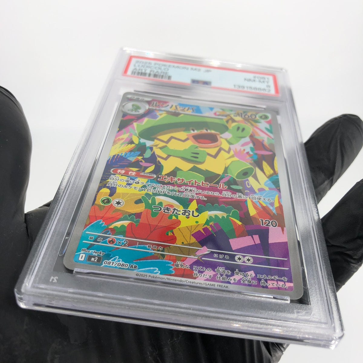 PSA 8 Pokemon Card Ludicolo 081/080 AR M2 Japanese Karte [8]