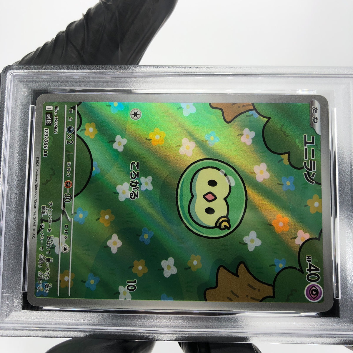 PSA 8 Pokemon Card Solosis 123/086 AR SV11b Japanese Karte [8]