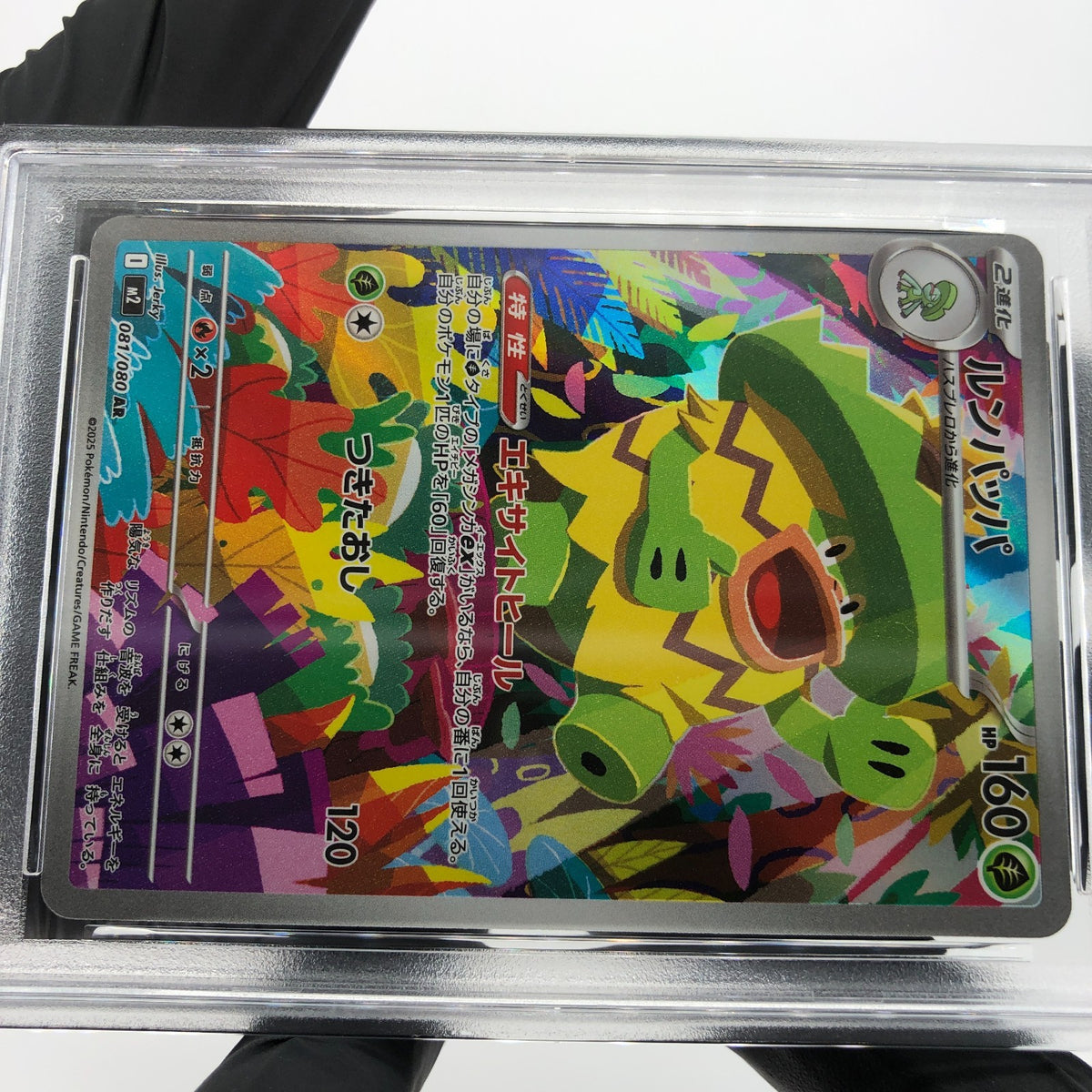 PSA 9 Pokemon Card Ludicolo 081/080 AR M2 Japanese Karte [9] 8