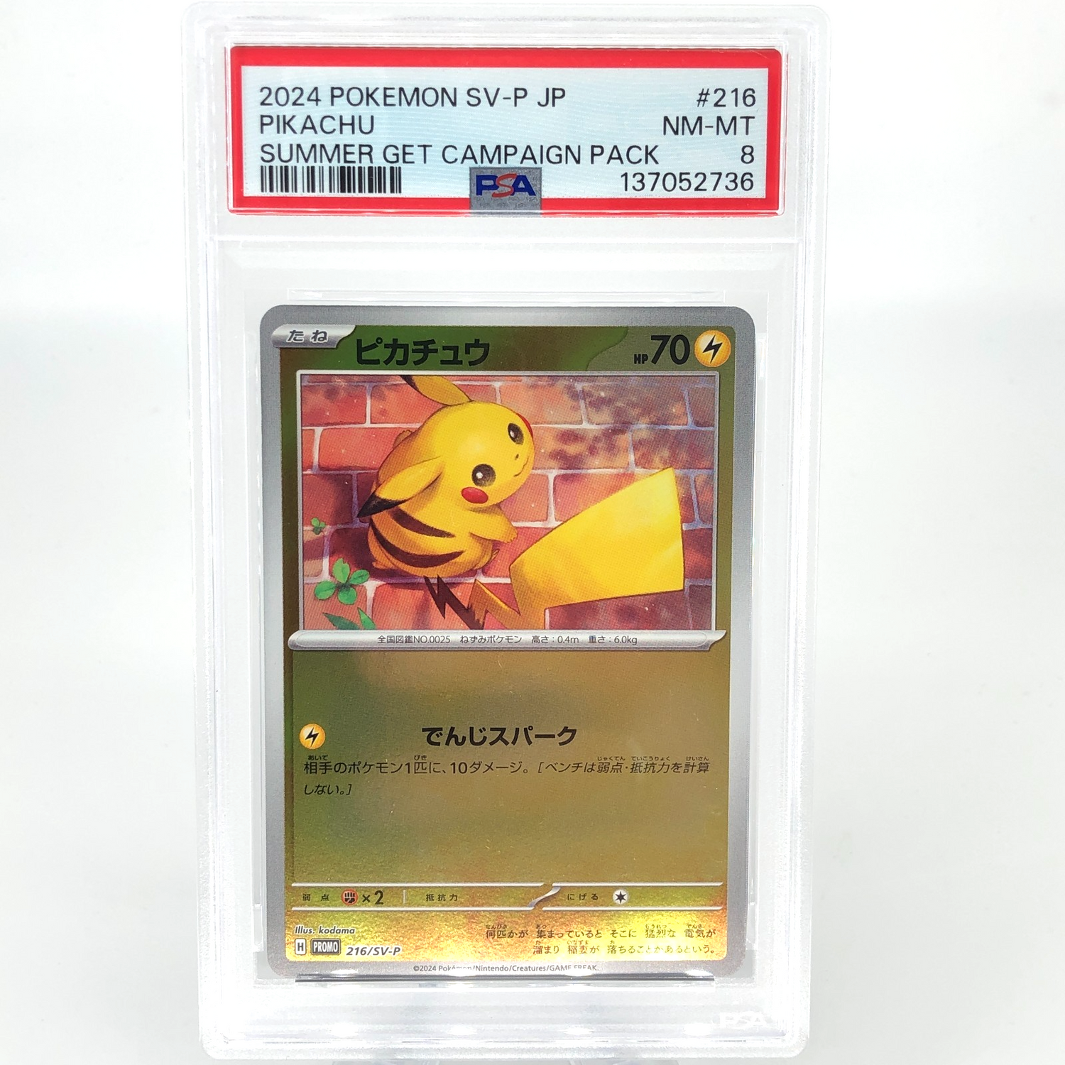 PSA 8 Pokemon Card Pikachu 216/SV-P Summer Promo Japanese Karte [8]