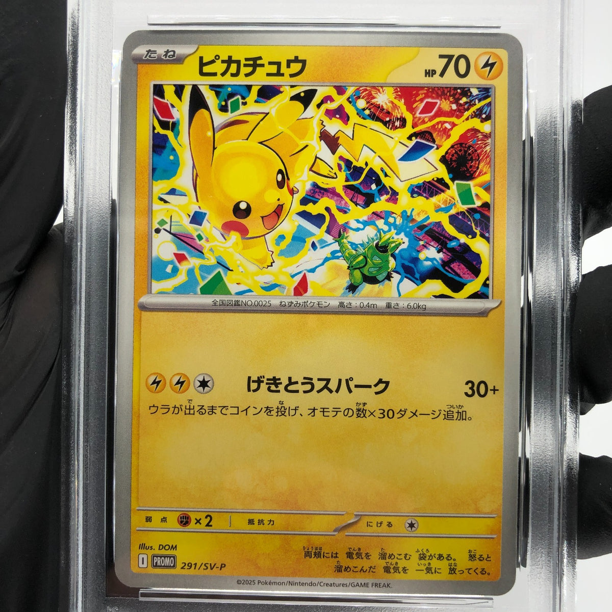 PSA 10 Pokemon Card Pikachu 291/SV-P Event Gym Promo Japanese Karte [10]