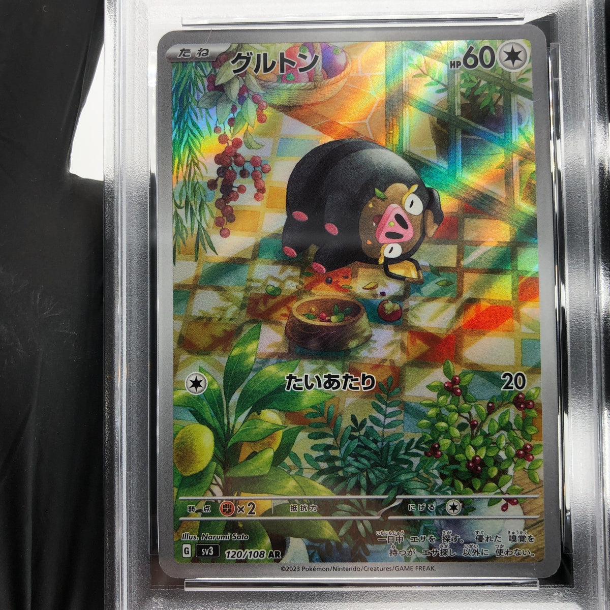 PSA 8 Pokemon Card Lechonk 120/108 AR SV3 Japanese Karte [8]