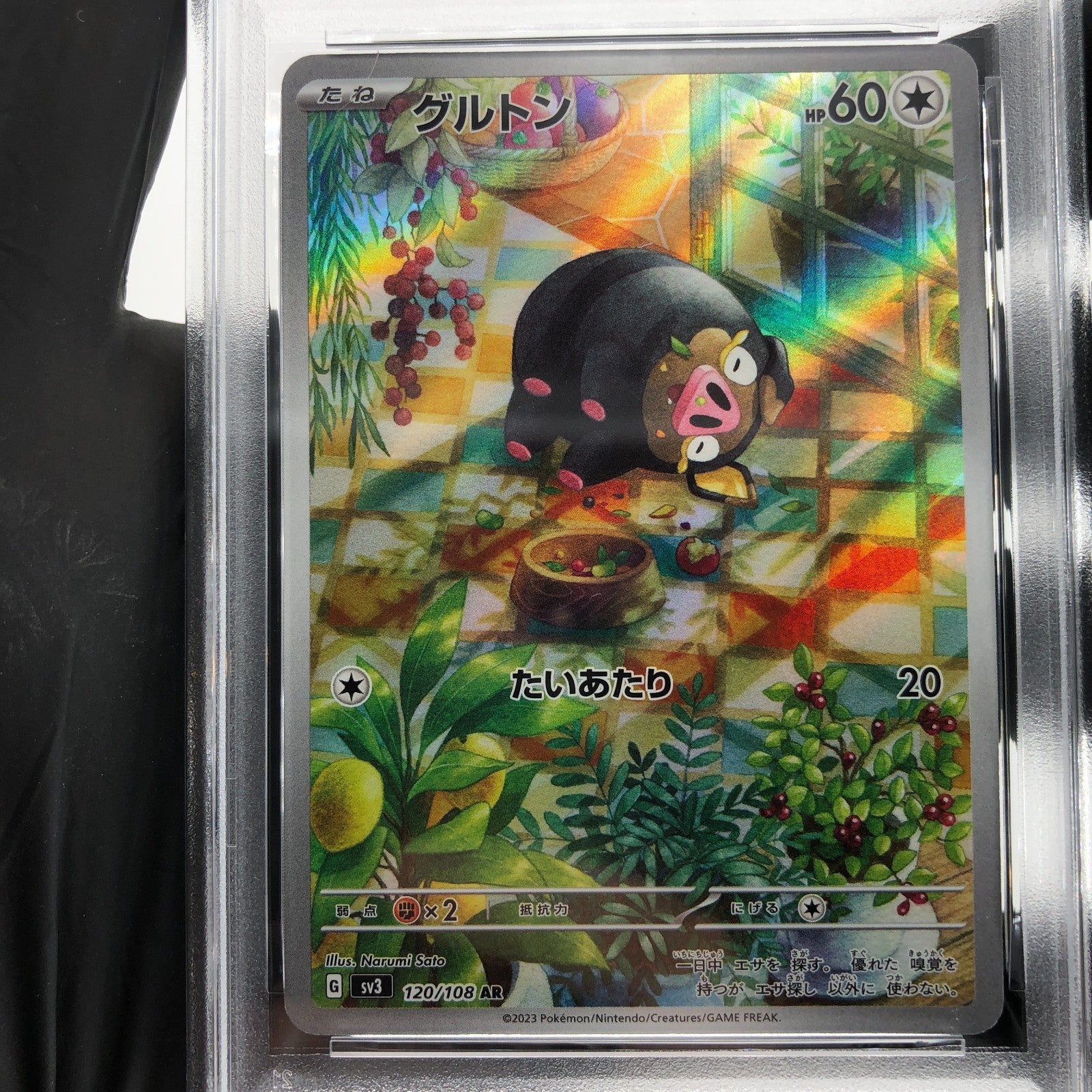 PSA 8 Pokemon Card Lechonk 120/108 AR SV3 Japanese Karte [8]