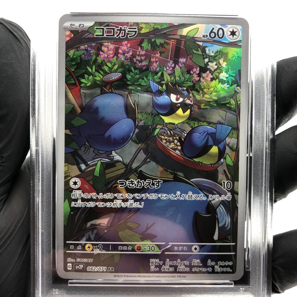 PSA 9 Pokemon Card Rookidee 082/071 AR SV2P Japanese Karte [9]