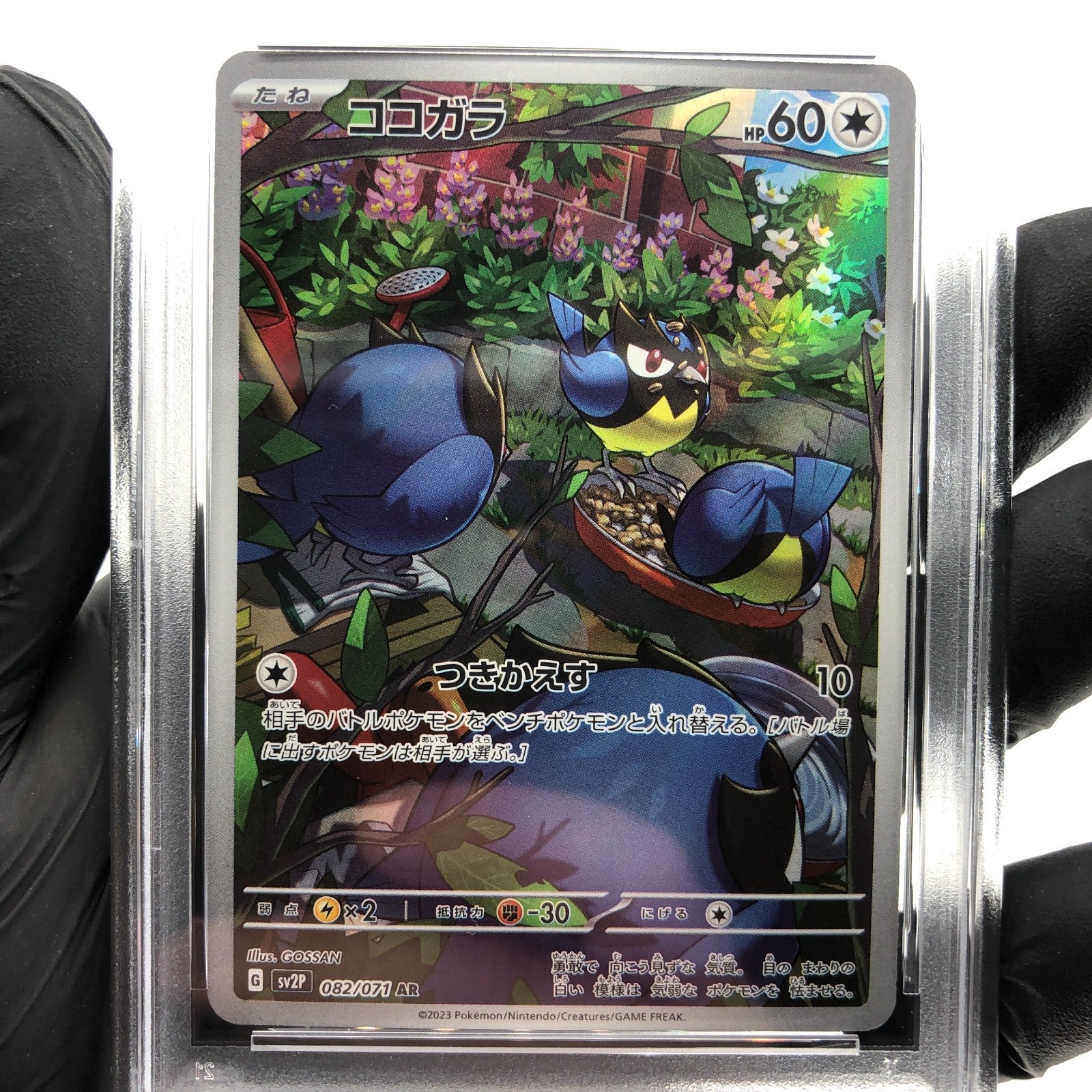 PSA 9 Pokemon Card Rookidee 082/071 AR SV2P Japanese Karte [9]