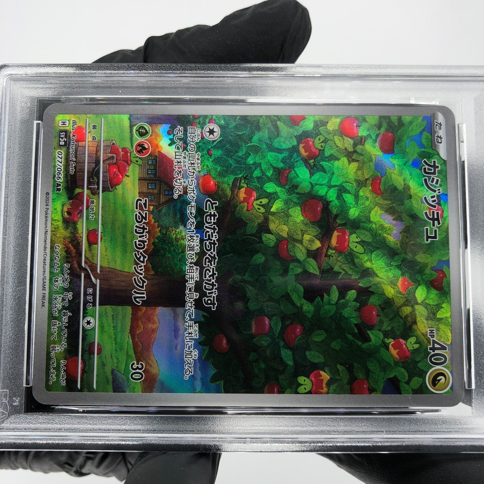 PSA 9 Pokemon Card Applin 077/066 AR SV5a Japanese Karte [9] 2