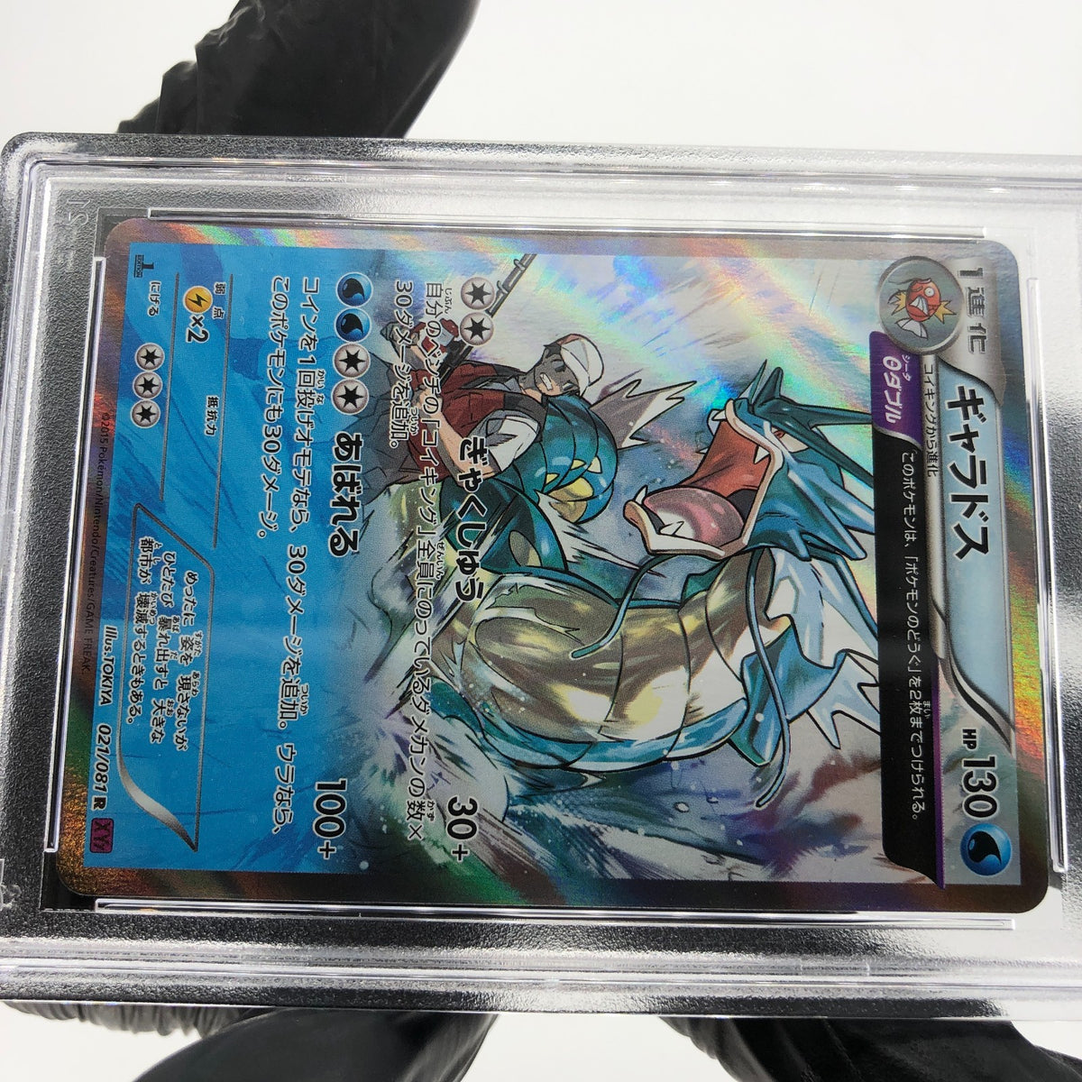 PSA 10 Pokemon Card Gyarados 021/081 R 1.Edition XY7 Holo Japanese Karte [10]