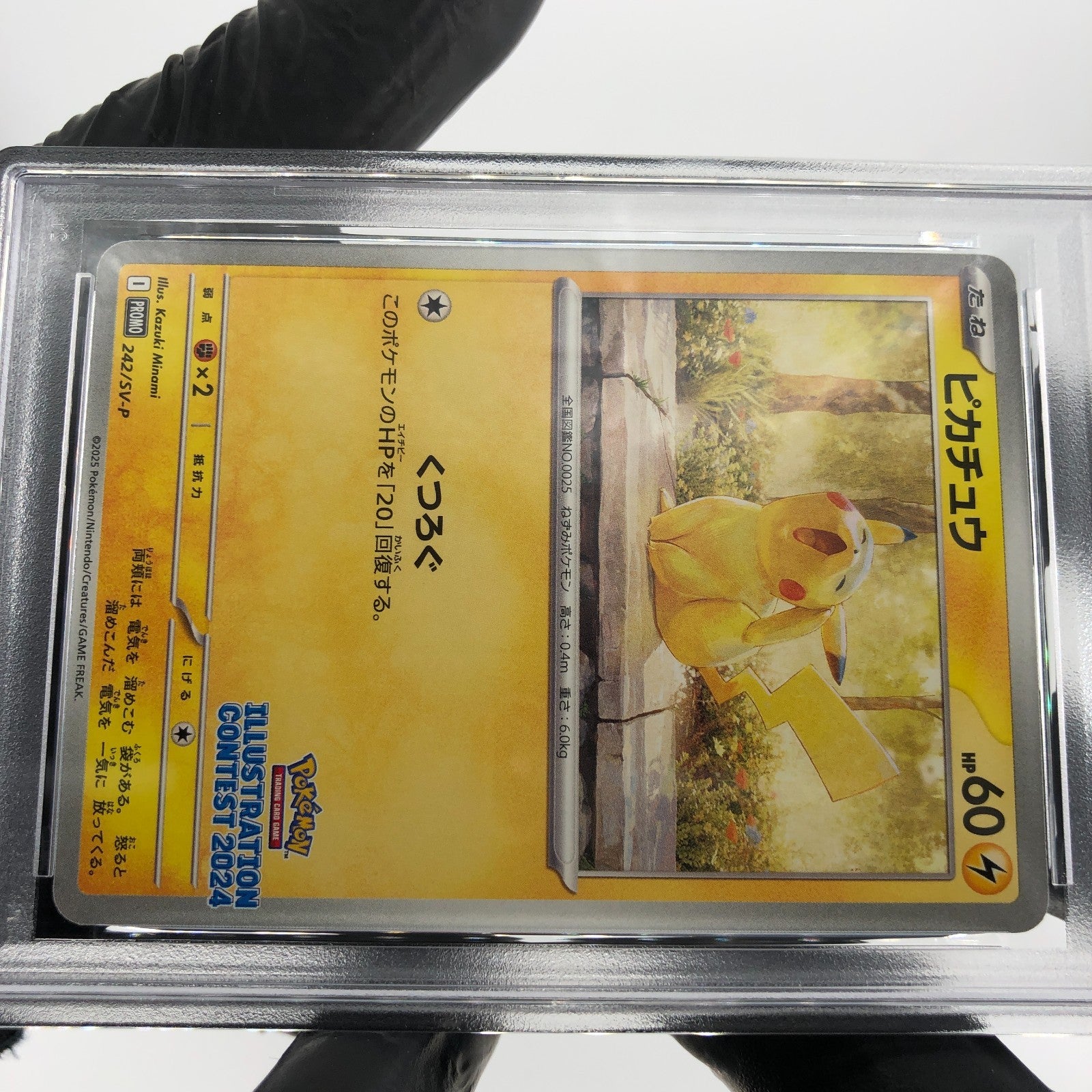 PSA 9 Pokemon Card Pikachu 242/SV-P Promo Japanese Karte [9]