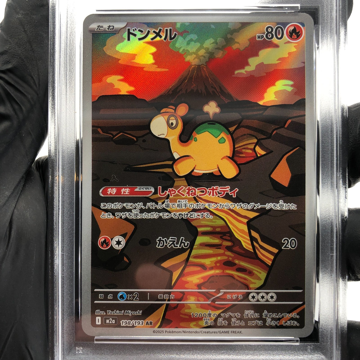 PSA 8 Pokemon Card Numel 198/193 AR M2a Japanese Karte [8] 3