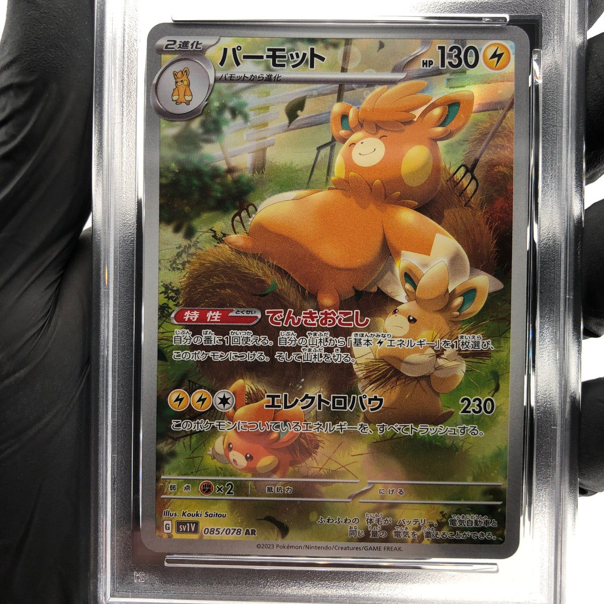 PSA 8 Pokemon Card Pawmot 085/078 AR SV1V Japanese Karte [8]