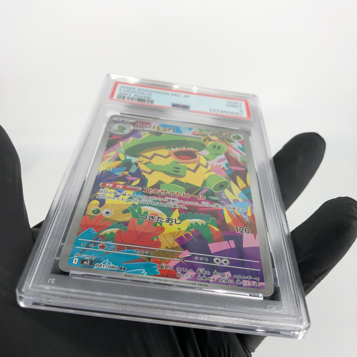 PSA 9 Pokemon Card Ludicolo 081/080 AR M2 Japanese Karte [9] 4