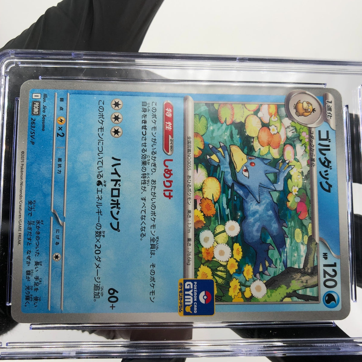 CGC 10 Pokemon Card Golduck 263/SV-P Promo Gym Japanese Karte [10]