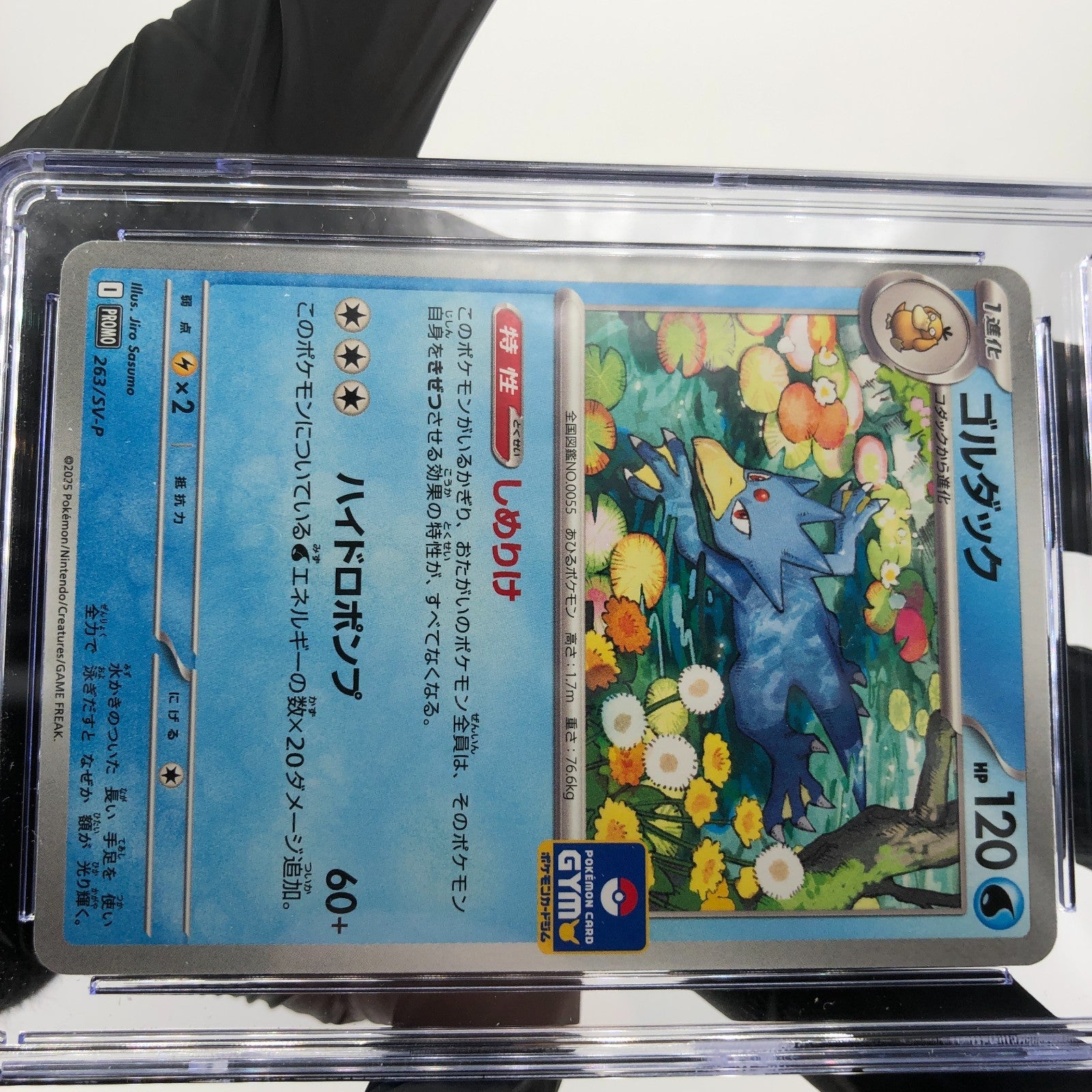 CGC 10 Pokemon Card Golduck 263/SV-P Promo Gym Japanese Karte [10]