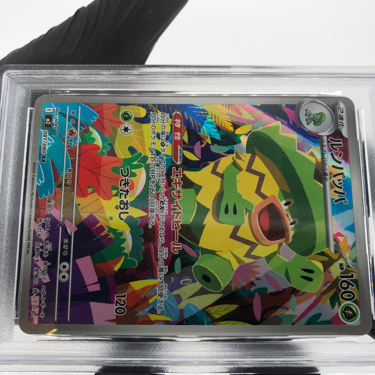 PSA 9 Pokemon Card Ludicolo 081/080 AR M2 Japanese Karte [9] 4