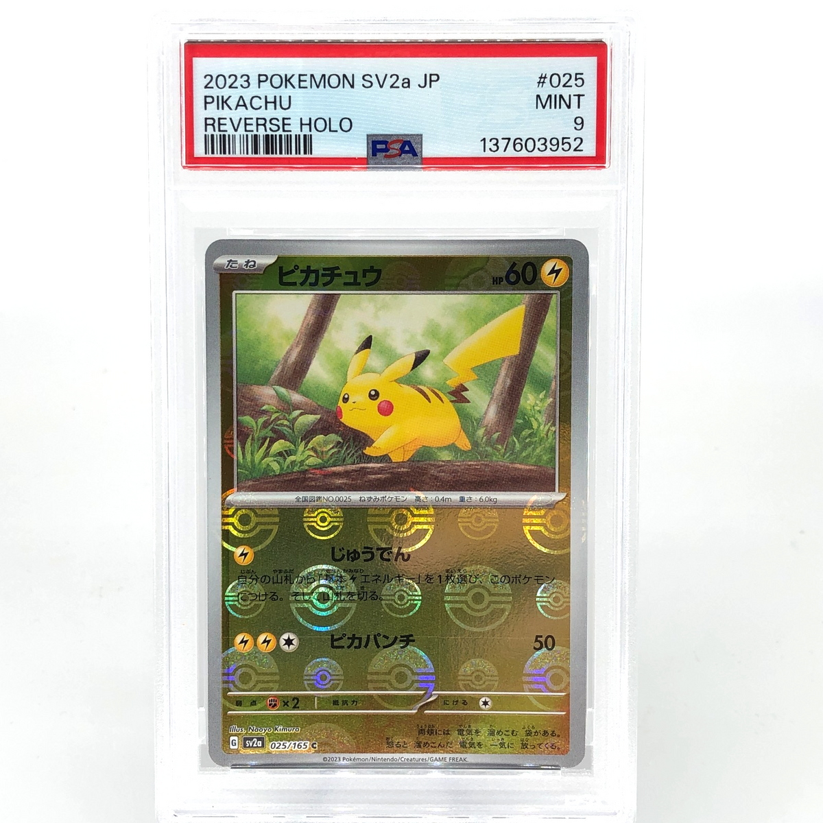 PSA 9 Pokemon Card Pikachu 025/165 C Pokeball SV2a Japanese Karte [9] 4