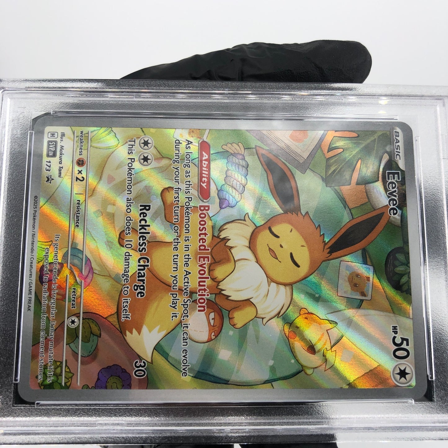 PSA 9 Pokemon Card Eevee 173 AR ETB SVP Promo English Karte [9]